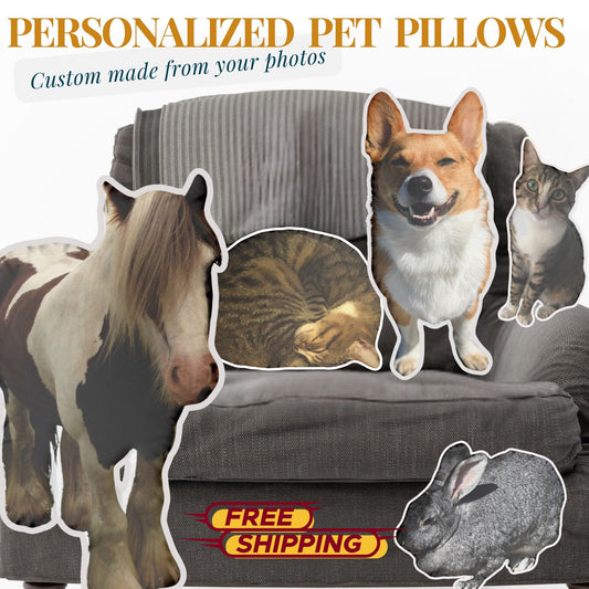 Custom 3D Pet Pillows, Personalized Pet Photo Pillow, big sizes, Double-sided Print, Shaped Cutout pillow